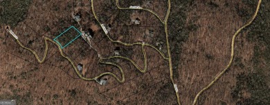 Long range mountain views possible from this wooded lot located on Sky Valley Resort and Country Club in Georgia - for sale on GolfHomes.com, golf home, golf lot