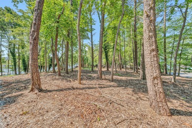 An Exceptional Waterfront Offering at Smith Mountain Lake. Set on Mariners Landing Golf and Country Club in Virginia - for sale on GolfHomes.com, golf home, golf lot