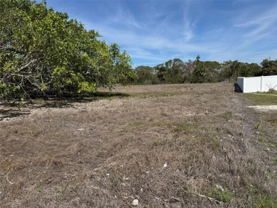 **PRICED TO SELL** This outstanding oversized lot in one of the on Rotonda Golf and Country Club The Links Course in Florida - for sale on GolfHomes.com, golf home, golf lot