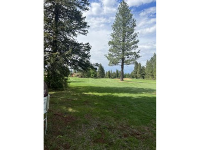 This lot has it all.  Recently cleaned up, level, views of Dyer on Bailey Creek Golf Course in California - for sale on GolfHomes.com, golf home, golf lot