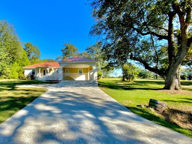 Elegant Arched views of Dogwood Lake presents both peace and on Dogwood Lakes Golf Club in Florida - for sale on GolfHomes.com, golf home, golf lot