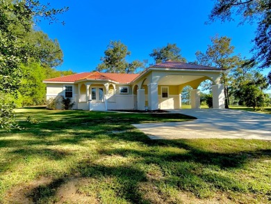 Elegant Arched views of Dogwood Lake presents both peace and on Dogwood Lakes Golf Club in Florida - for sale on GolfHomes.com, golf home, golf lot