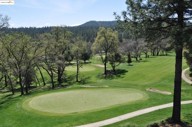 A picturesque scene with a sense of tranquility. This golf on Pine Mountain Lake Country Club in California - for sale on GolfHomes.com, golf home, golf lot