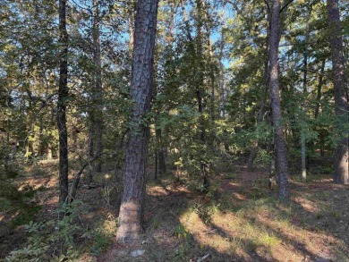 Discover the perfect place to build your dream home on this on Balboa Golf Course in Arkansas - for sale on GolfHomes.com, golf home, golf lot