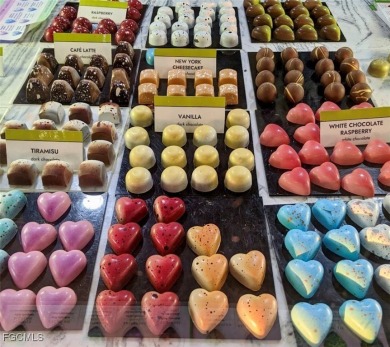 Chic & Stylish First Floor Condo in the Heart of Cape Coral on Palmetto-Pine Country Club in Florida - for sale on GolfHomes.com, golf home, golf lot