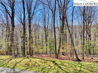 Wonderful buyer opportunity to own a large lot WITH A CURRENT on Mountain Aire Golf Course in North Carolina - for sale on GolfHomes.com, golf home, golf lot