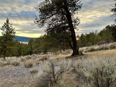 Build your dream home on this 0.75 acre residential homesite on Running Y Ranch Resort in Oregon - for sale on GolfHomes.com, golf home, golf lot