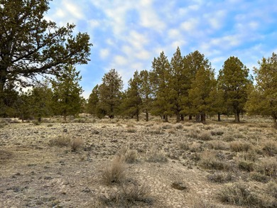 Build your dream home on this 0.75 acre residential homesite on Running Y Ranch Resort in Oregon - for sale on GolfHomes.com, golf home, golf lot