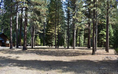 PERFECT SPOT FOR YOUR DREAM HOME!! The 3/4 acre lot is on Plumas Pines Golf Resort in California - for sale on GolfHomes.com, golf home, golf lot