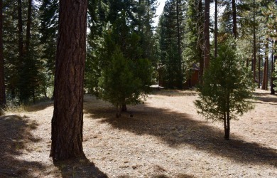 PERFECT SPOT FOR YOUR DREAM HOME!! The 3/4 acre lot is on Plumas Pines Golf Resort in California - for sale on GolfHomes.com, golf home, golf lot