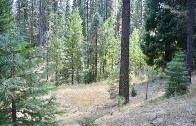 PERFECT SPOT FOR YOUR DREAM HOME!! The 3/4 acre lot is on Plumas Pines Golf Resort in California - for sale on GolfHomes.com, golf home, golf lot