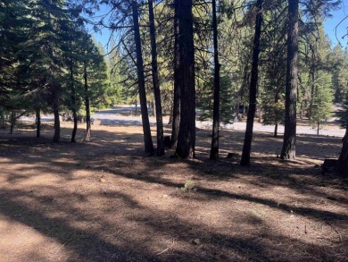 Just under a 1/2 acre with a slight upslope in Lake Almanor's on Lake Almanor West Golf Course in California - for sale on GolfHomes.com, golf home, golf lot
