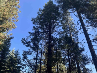 Just under a 1/2 acre with a slight upslope in Lake Almanor's on Lake Almanor West Golf Course in California - for sale on GolfHomes.com, golf home, golf lot