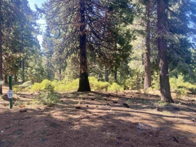 0.22 acre lot located in beautiful Foxglenn. Build your dream on Bailey Creek Golf Course in California - for sale on GolfHomes.com, golf home, golf lot