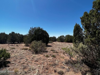 This beautiful large lot is perfect for a mountain cabin! Use as on Silver Creek Golf Club in Arizona - for sale on GolfHomes.com, golf home, golf lot