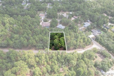 Come build your dream home on this .54 acre lot, situated in a on Pine Ridge Community Golf and Country Club in Florida - for sale on GolfHomes.com, golf home, golf lot