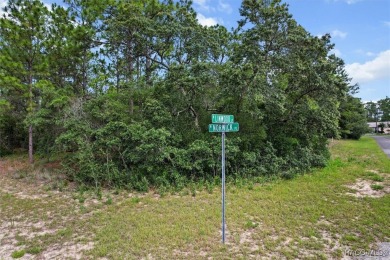 Come build your dream home on this .54 acre lot, situated in a on Pine Ridge Community Golf and Country Club in Florida - for sale on GolfHomes.com, golf home, golf lot