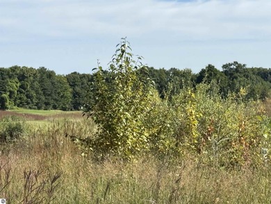 Discover your ideal canvas for luxurious living with this on Crown Golf Course in Michigan - for sale on GolfHomes.com, golf home, golf lot