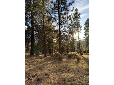 Build your dream home on this 0.50 acre residential homesite at on Running Y Ranch Resort in Oregon - for sale on GolfHomes.com, golf home, golf lot
