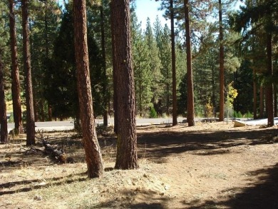 Located on a peaceful cul-de-sac, this beautiful lot backs onto on Grizzly Ranch Golf Club in California - for sale on GolfHomes.com, golf home, golf lot