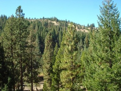 Located on a peaceful cul-de-sac, this beautiful lot backs onto on Grizzly Ranch Golf Club in California - for sale on GolfHomes.com, golf home, golf lot