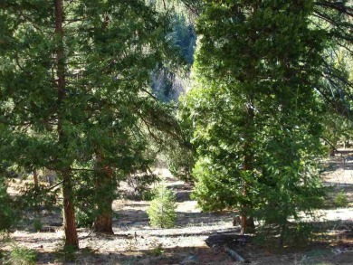 This approximately 0.42-acre lot is nestled in the gated on Grizzly Ranch Golf Club in California - for sale on GolfHomes.com, golf home, golf lot