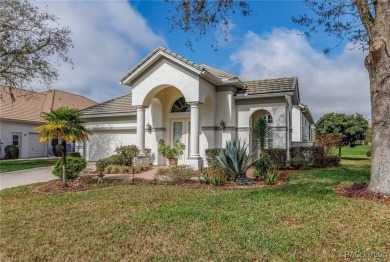 Welcome home to the Amazing Lifestyle that Terra Vista offers! on Skyview At Terra Vista Golf and Country Club in Florida - for sale on GolfHomes.com, golf home, golf lot