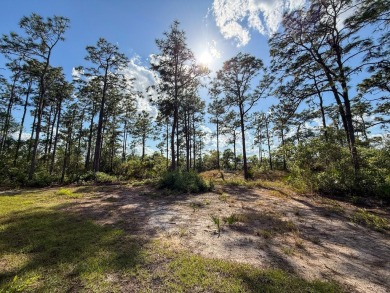 Welcome to 6730 Orlando Drive -- Where Relaxed Country Living on Indian Lake Estates Golf and Country Club in Florida - for sale on GolfHomes.com, golf home, golf lot