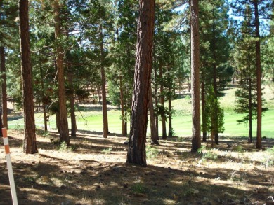 This 0.42 acre vacant parcel, located at the end of a cul-de-sac on Grizzly Ranch Golf Club in California - for sale on GolfHomes.com, golf home, golf lot