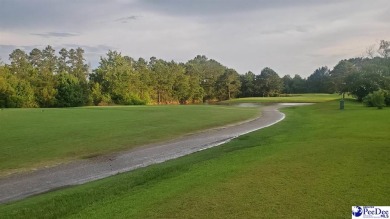 Now is the time to build your dream home in a tranquil on The Traces Golf Club in South Carolina - for sale on GolfHomes.com, golf home, golf lot
