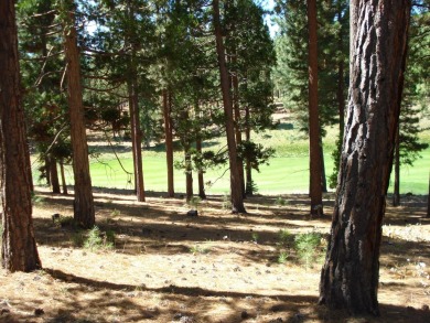 This 0.42 acre vacant parcel, located at the end of a cul-de-sac on Grizzly Ranch Golf Club in California - for sale on GolfHomes.com, golf home, golf lot