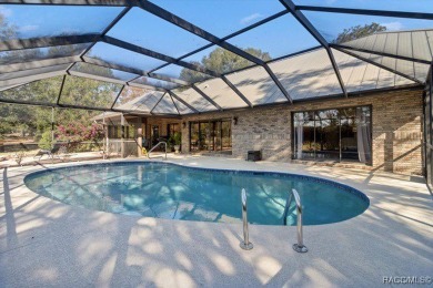 Stunning Custom Brick Home in Black Diamond Ranch - Guard-Gated on Black Diamond Ranch Golf Course in Florida - for sale on GolfHomes.com, golf home, golf lot