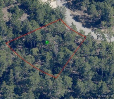 For just $35K, this .28 wooded lot, nestled on a quiet on Sugarmill Woods Golf and Country Club in Florida - for sale on GolfHomes.com, golf home, golf lot