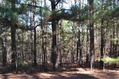 Check out your dream come true Granada Golf Course buildable lot on Granada Golf Course in Arkansas - for sale on GolfHomes.com, golf home, golf lot