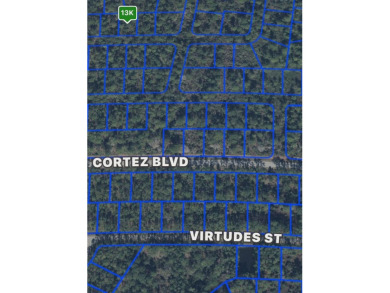 *Welcome to 6651 Venetia Dr, a prime residential lot in the on Sun n Lake Golf and Country Club in Florida - for sale on GolfHomes.com, golf home, golf lot