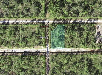 Come build your forever home on this one-half acre corner lot on Indian Lake Estates Golf and Country Club in Florida - for sale on GolfHomes.com, golf home, golf lot