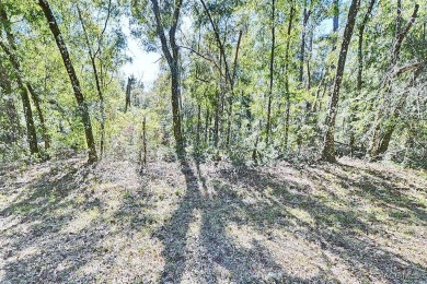 Great opportunity to own a 0.27 acre homesite in Citrus Springs on Citrus Springs Country Club in Florida - for sale on GolfHomes.com, golf home, golf lot