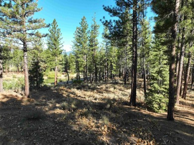 Resort core homesite, footsteps away from Altitude Recreational on Nakoma Golf Resort in California - for sale on GolfHomes.com, golf home, golf lot