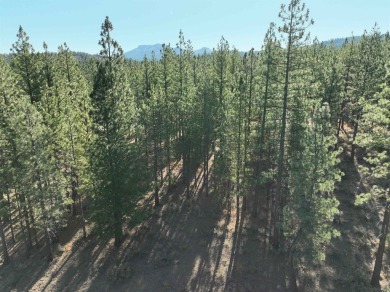 Resort core homesite, footsteps away from Altitude Recreational on Nakoma Golf Resort in California - for sale on GolfHomes.com, golf home, golf lot