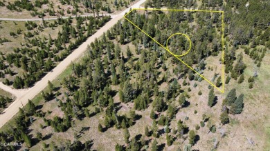 Welcome to the breathtaking Fairways at Pole Creek, where you're on Pole Creek Golf Club in Colorado - for sale on GolfHomes.com, golf home, golf lot