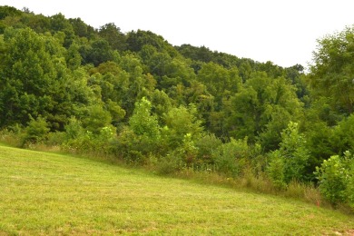 Located in beautiful Monroe County: Lot #54 in the Fountain on Fountain Springs Golf Course in West Virginia - for sale on GolfHomes.com, golf home, golf lot