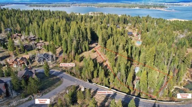 No CCR's and No HOA bordering Tamarack resorte and build your on Osprey Meadows at Tamarack Resort in Idaho - for sale on GolfHomes.com, golf home, golf lot