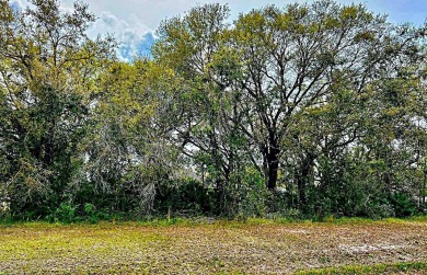Available for sale .29 acres located in the Wedgefield community on Wedgefield Golf Club in Florida - for sale on GolfHomes.com, golf home, golf lot