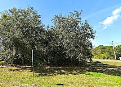 Available for sale .29 acres located in the Wedgefield community on Wedgefield Golf Club in Florida - for sale on GolfHomes.com, golf home, golf lot