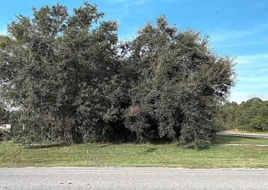 Available for sale .29 acres located in the Wedgefield community on Wedgefield Golf Club in Florida - for sale on GolfHomes.com, golf home, golf lot