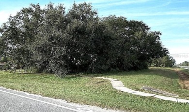 Available for sale .29 acres located in the Wedgefield community on Wedgefield Golf Club in Florida - for sale on GolfHomes.com, golf home, golf lot