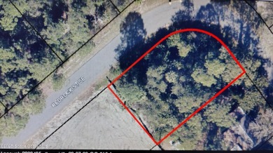 This 0.24 acre single family home residential vacant lot is on Majors Golf Club At Bayside Lakes in Florida - for sale on GolfHomes.com, golf home, golf lot