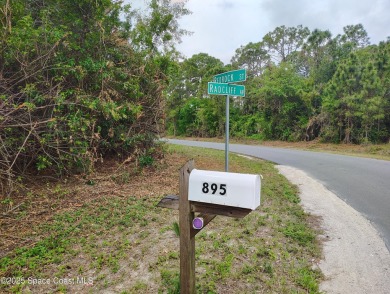 This 0.24 acre single family home residential vacant lot is on Majors Golf Club At Bayside Lakes in Florida - for sale on GolfHomes.com, golf home, golf lot