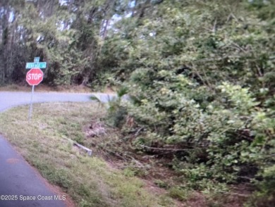 This 0.24 acre single family home residential vacant lot is on Majors Golf Club At Bayside Lakes in Florida - for sale on GolfHomes.com, golf home, golf lot