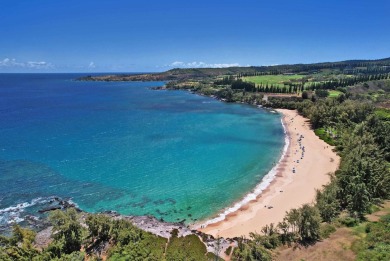 Discover unparalleled elegance in this exquisite 1-bedroom on Kapalua Golf Club - Bay Course in Hawaii - for sale on GolfHomes.com, golf home, golf lot